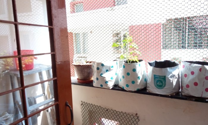 2 BHK Flat for Sale in Thoraipakkam